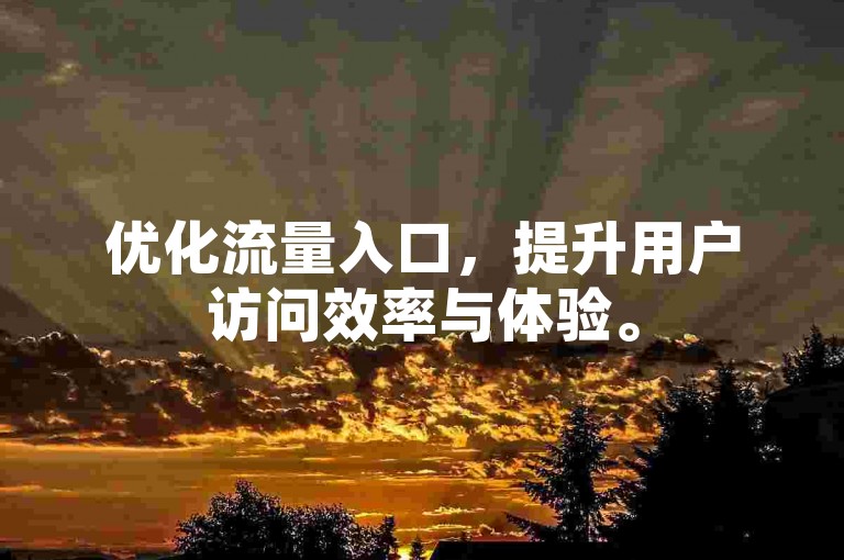 优化流量入口，提升用户访问效率与体验。