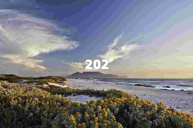 2025年哔哩哔哩秒点赞在线自助平台有网红助手、业务自助平台等。