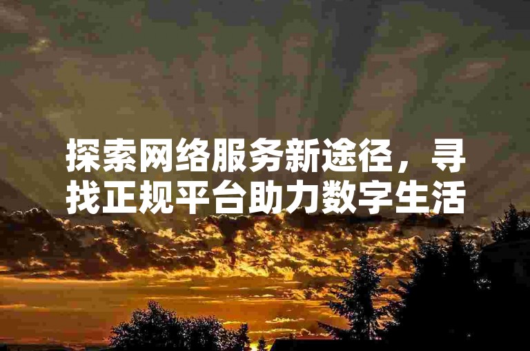 探索网络服务新途径，寻找正规平台助力数字生活便捷前行。