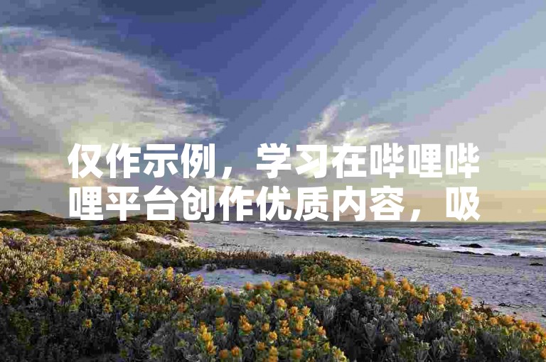仅作示例，学习在哔哩哔哩平台创作优质内容，吸引关注。
