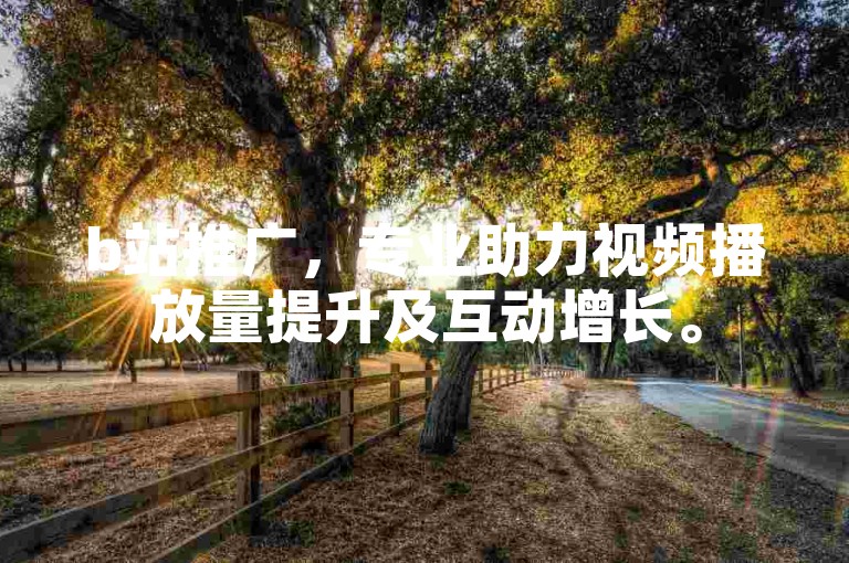 b站推广，专业助力视频播放量提升及互动增长。
