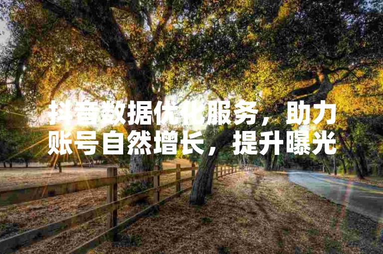 抖音数据优化服务，助力账号自然增长，提升曝光与互动。