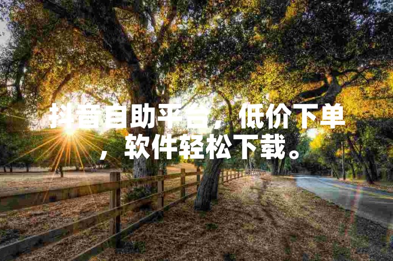 抖音自助平台，低价下单，软件轻松下载。