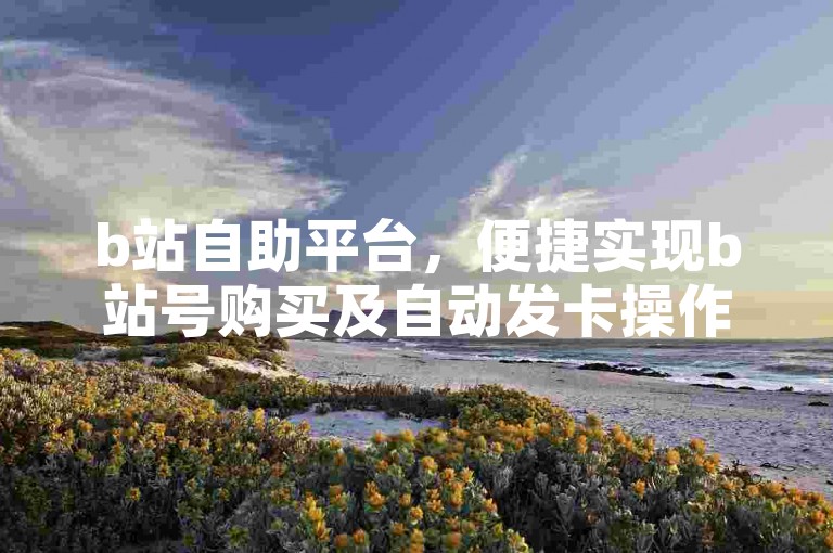 b站自助平台，便捷实现b站号购买及自动发卡操作。