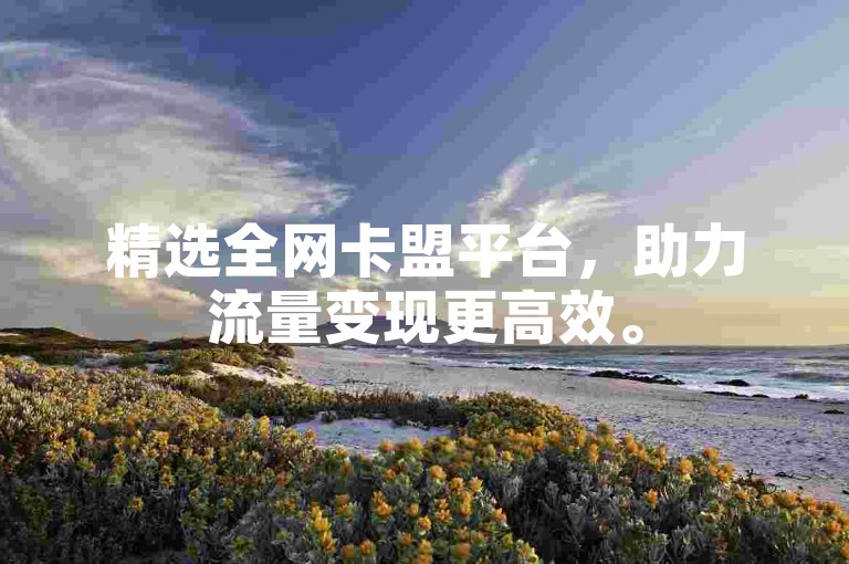 精选全网卡盟平台，助力流量变现更高效。