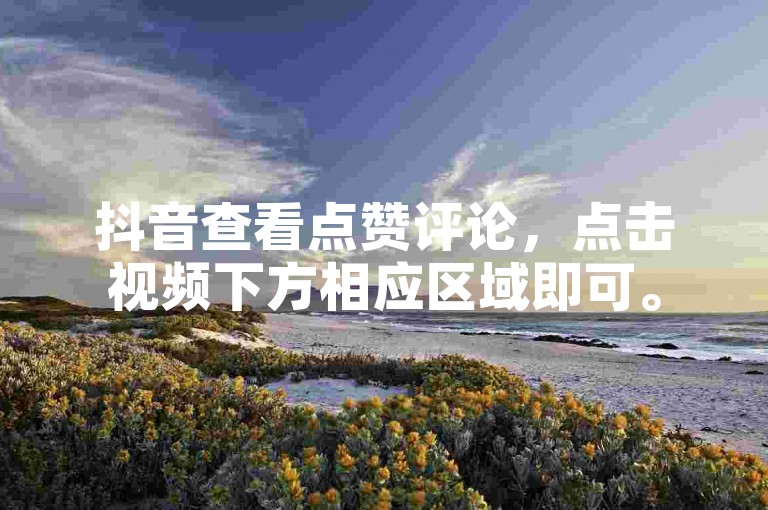 抖音查看点赞评论，点击视频下方相应区域即可。