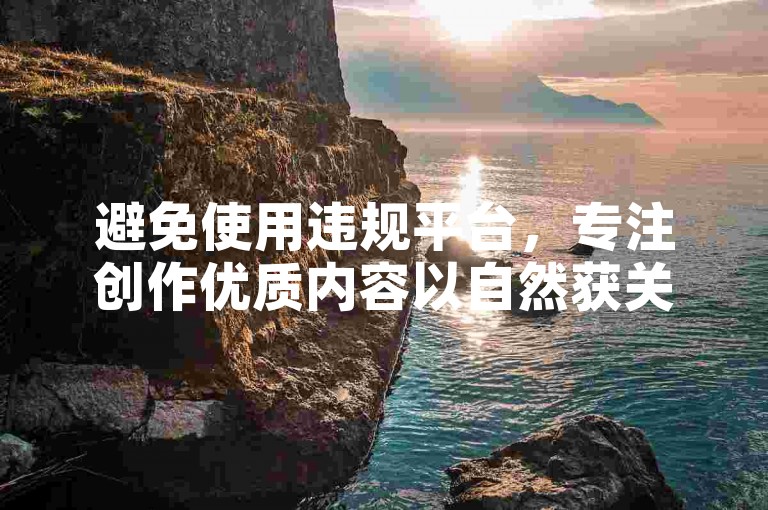 避免使用违规平台，专注创作优质内容以自然获关注。