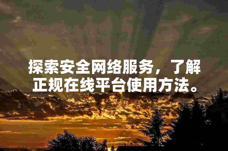 探索安全网络服务，了解正规在线平台使用方法。