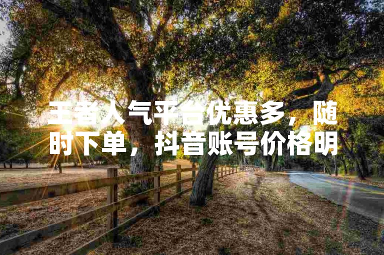 王者人气平台优惠多，随时下单，抖音账号价格明细一目了然。