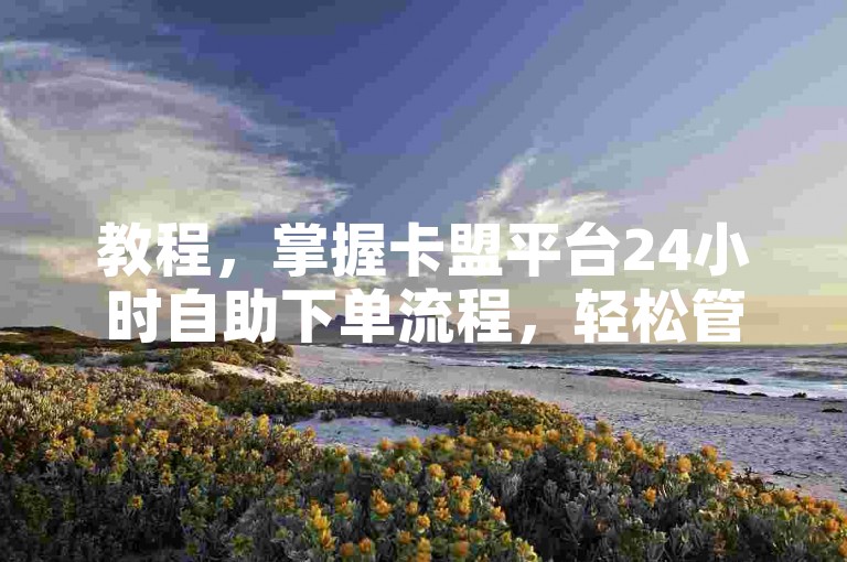 教程，掌握卡盟平台24小时自助下单流程，轻松管理订单。