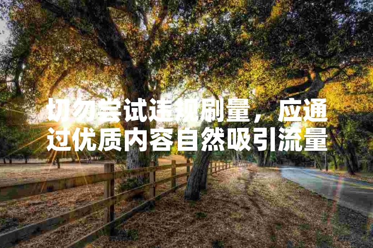 切勿尝试违规刷量，应通过优质内容自然吸引流量与关注。