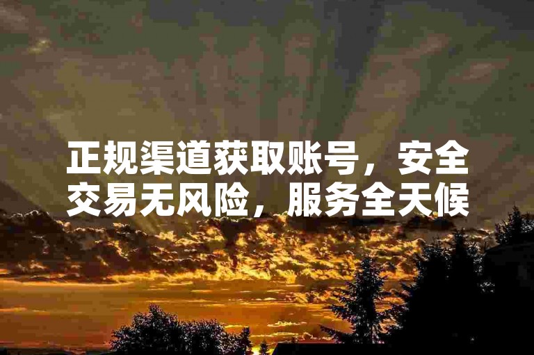 正规渠道获取账号，安全交易无风险，服务全天候在线。