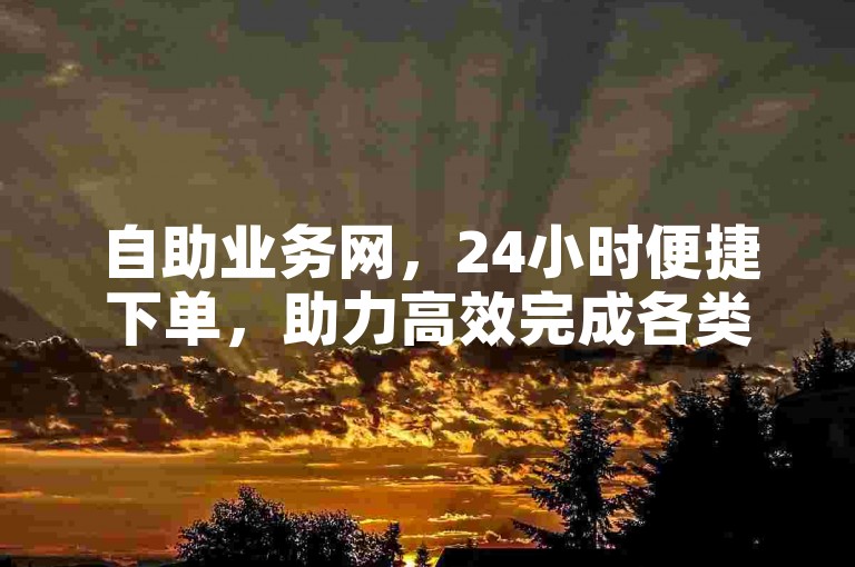 自助业务网，24小时便捷下单，助力高效完成各类任务。
