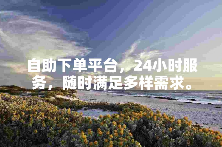 自助下单平台，24小时服务，随时满足多样需求。