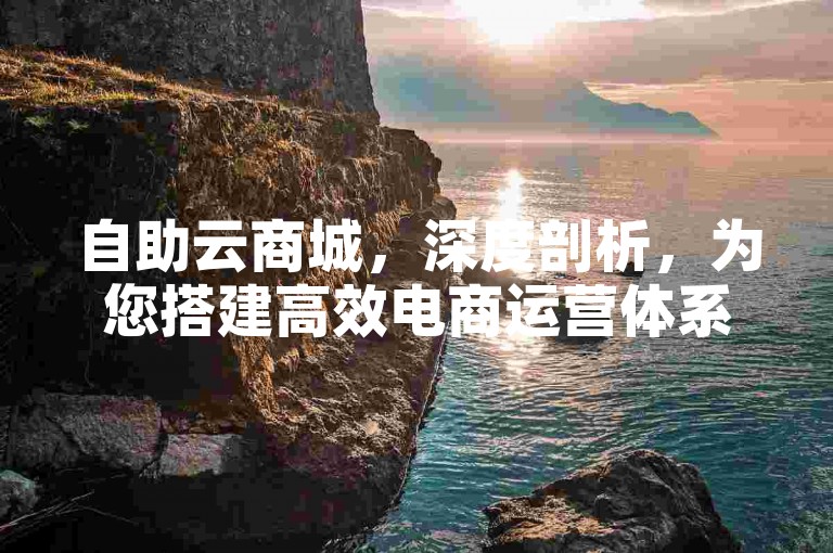 自助云商城，深度剖析，为您搭建高效电商运营体系