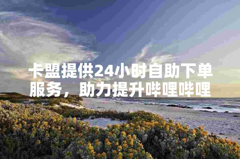 卡盟提供24小时自助下单服务，助力提升哔哩哔哩播放量。