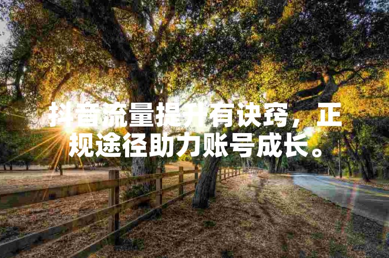 抖音流量提升有诀窍，正规途径助力账号成长。