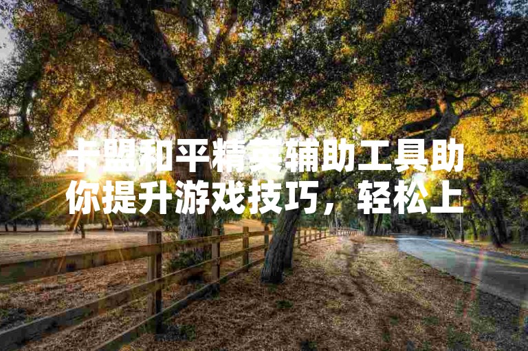 卡盟和平精英辅助工具助你提升游戏技巧，轻松上分。