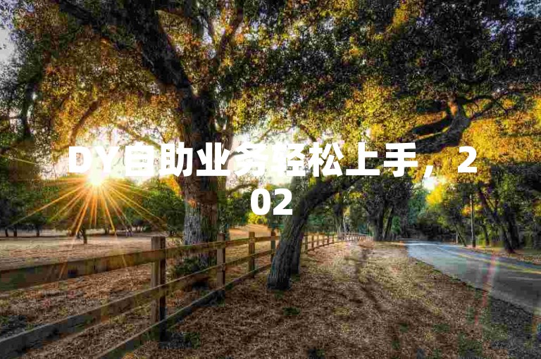 DY自助业务轻松上手，2025实用操作技巧助你快速掌握！