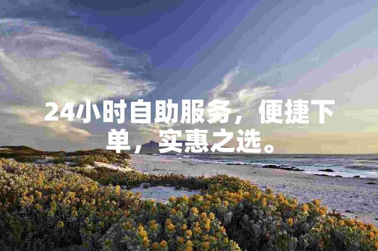 24小时自助服务，便捷下单，实惠之选。