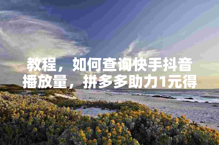 教程,如何查询快手抖音播放量,拼多多助力1元得10刀方法