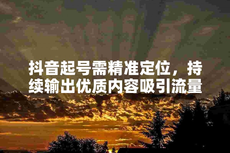 抖音起号需精准定位，持续输出优质内容吸引流量。