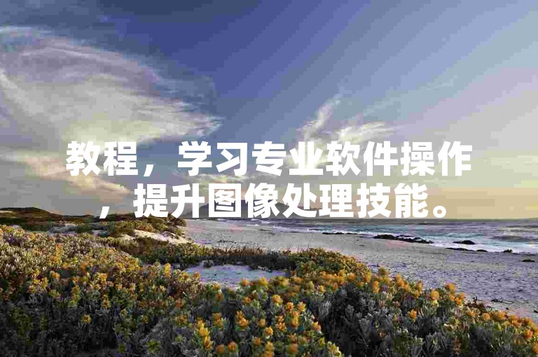 教程，学习专业软件操作，提升图像处理技能。