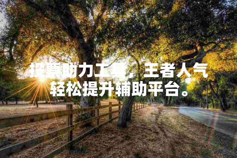 投票助力工具，王者人气轻松提升辅助平台。