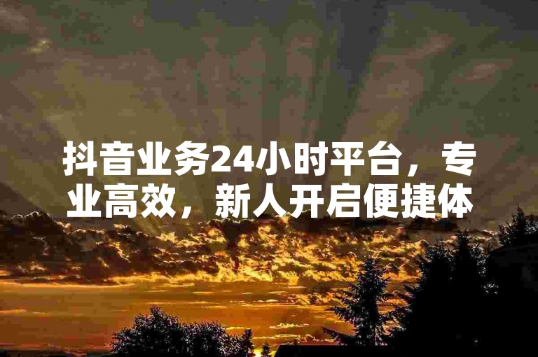 抖音业务24小时平台，专业高效，新人开启便捷体验之选！
