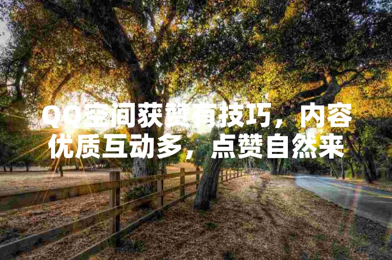 QQ空间获赞有技巧，内容优质互动多，点赞自然来。