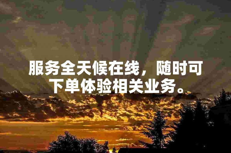 服务全天候在线，随时可下单体验相关业务。