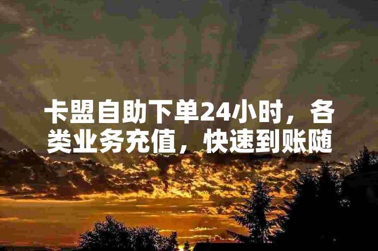 卡盟自助下单24小时，各类业务充值，快速到账随时享服务。
