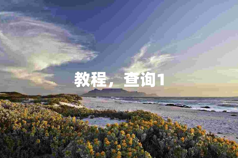 教程，查询15年茅台酒价格，可参考自助平台24小时信息。