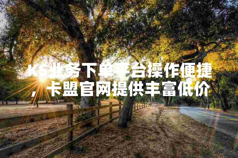 KS业务下单平台操作便捷，卡盟官网提供丰富低价业务服务。