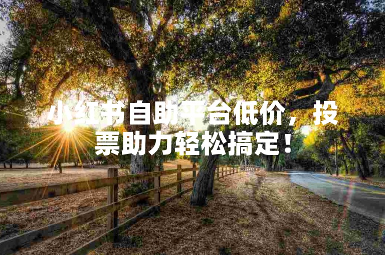 小红书自助平台低价，投票助力轻松搞定！
