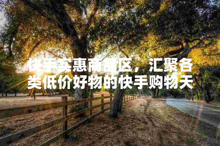 快手实惠商品区，汇聚各类低价好物的快手购物天地