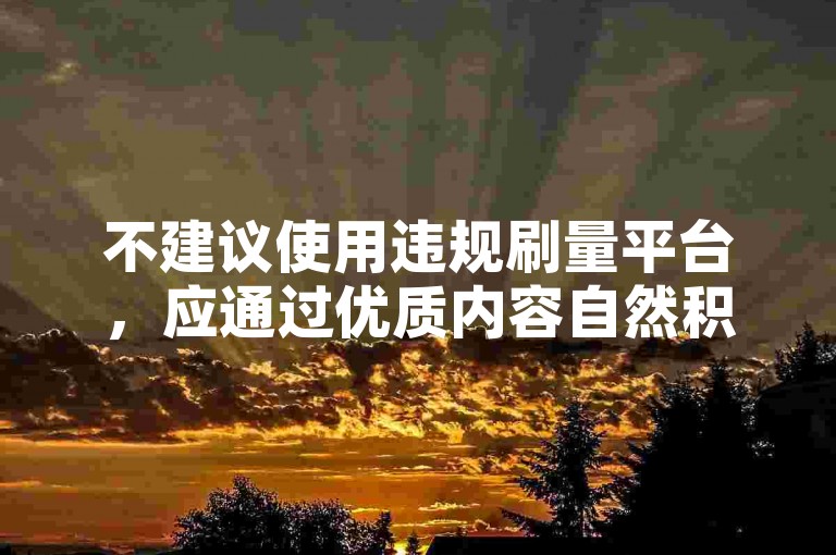 不建议使用违规刷量平台，应通过优质内容自然积累关注。