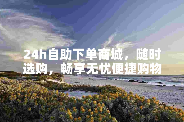 24h自助下单商城，随时选购，畅享无忧便捷购物体验。