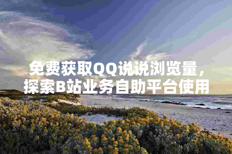 免费获取QQ说说浏览量，探索B站业务自助平台使用方法。