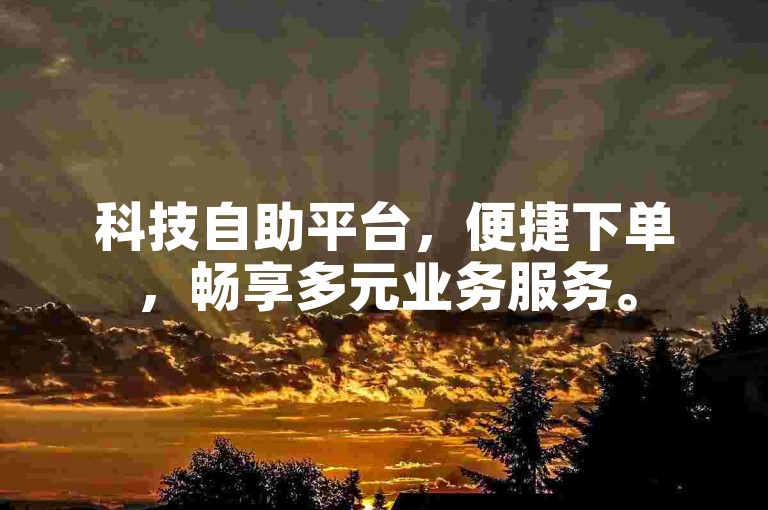 科技自助平台，便捷下单，畅享多元业务服务。