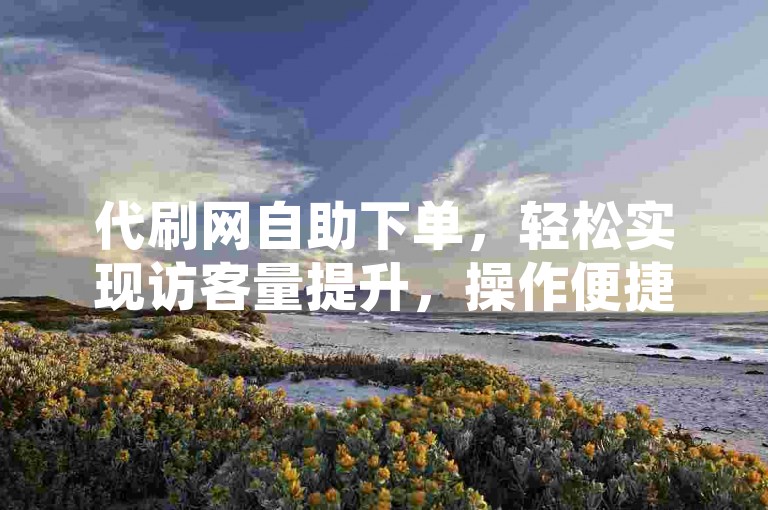 代刷网自助下单，轻松实现访客量提升，操作便捷高效。