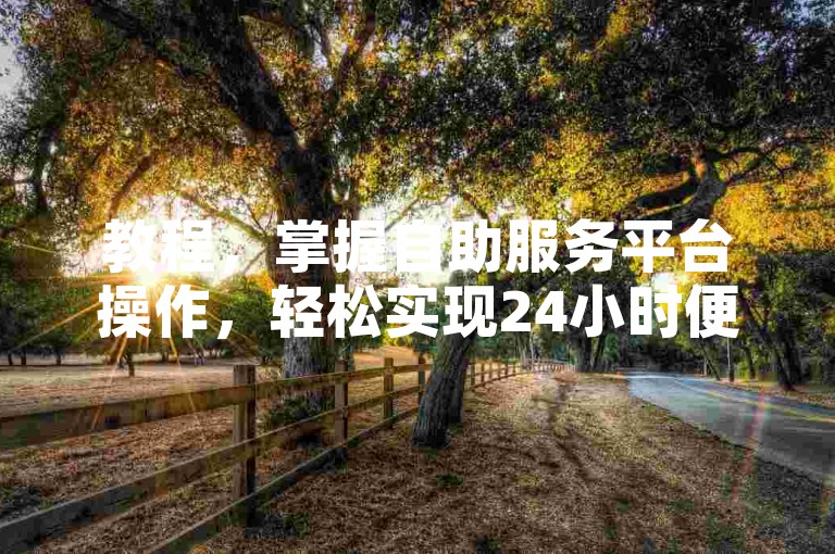 教程，掌握自助服务平台操作，轻松实现24小时便捷下单体验。