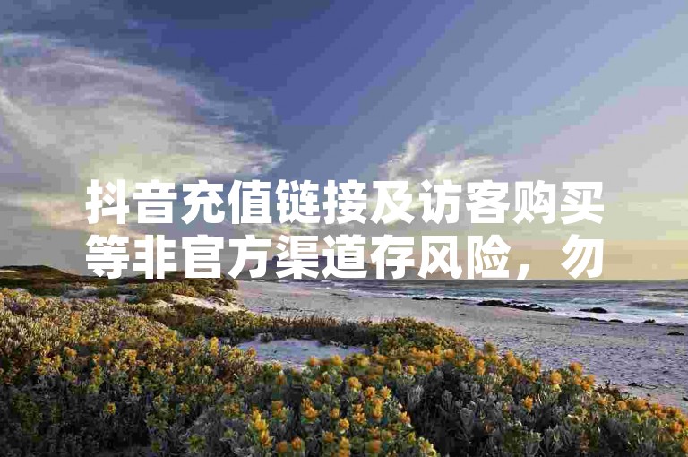 抖音充值链接及访客购买等非官方渠道存风险，勿轻信。