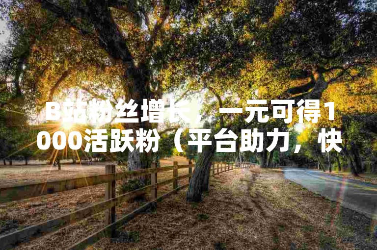 B站粉丝增长，一元可得1000活跃粉（平台助力，快速涨粉）