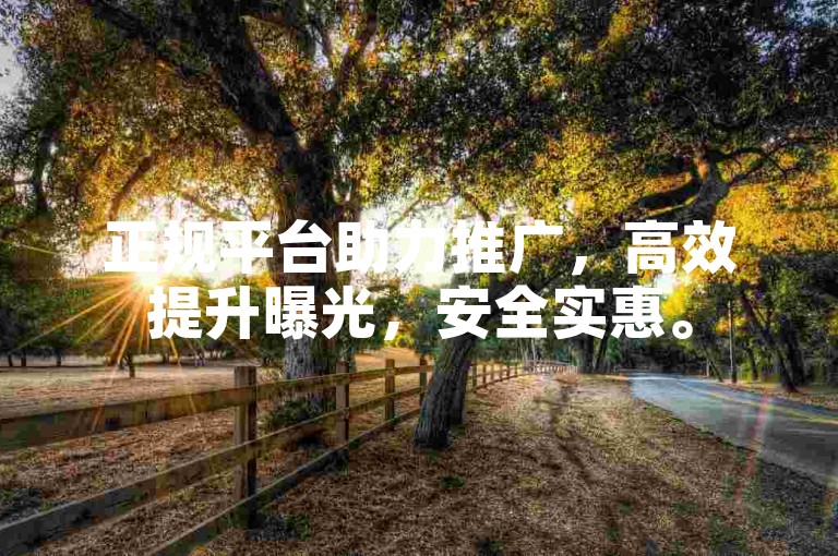 正规平台助力推广，高效提升曝光，安全实惠。