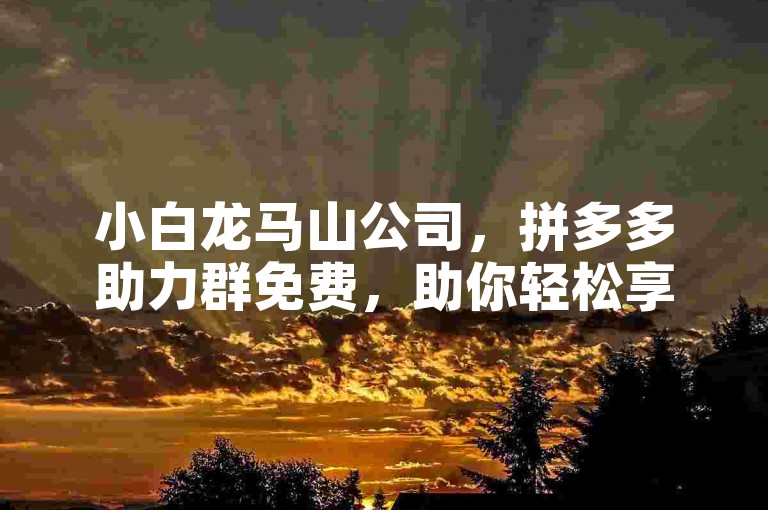 小白龙马山公司，拼多多助力群免费，助你轻松享优惠。