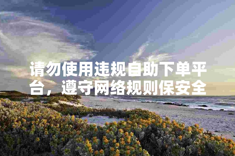 请勿使用违规自助下单平台，遵守网络规则保安全。