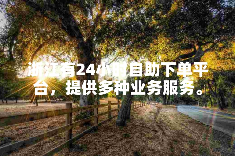 浙江有24小时自助下单平台，提供多种业务服务。