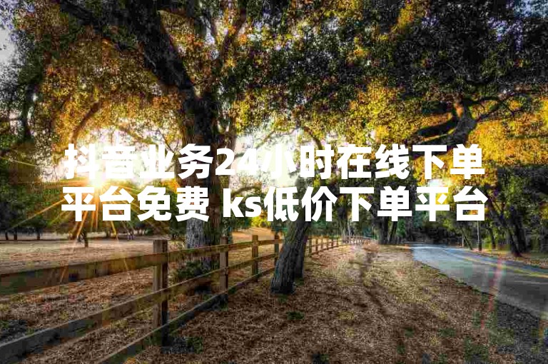 抖音业务24小时在线下单平台免费 ks低价下单平台入口