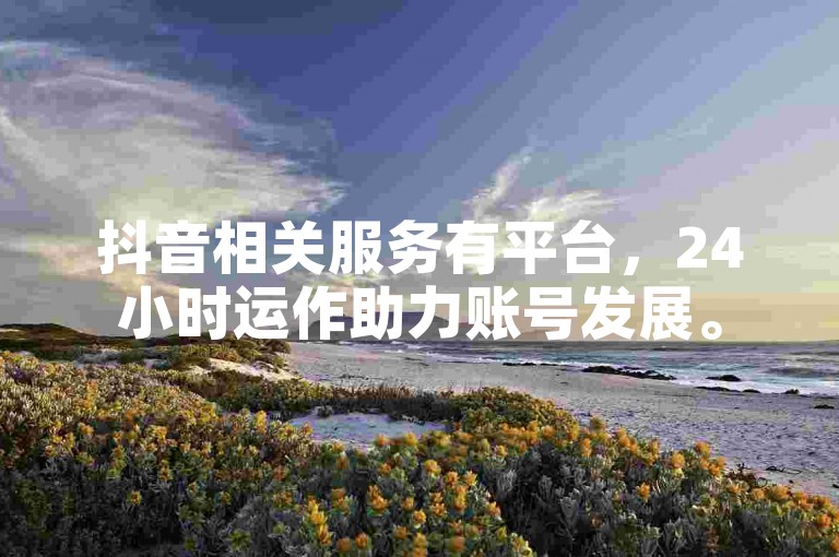 抖音相关服务有平台，24小时运作助力账号发展。